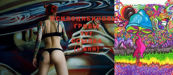 спайс Новозыбков