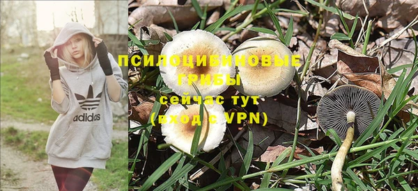 MESCALINE Новодвинск