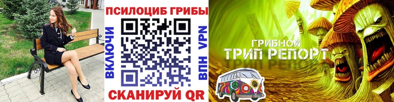 Псилоцибиновые грибы прущие грибы  Катав-Ивановск 